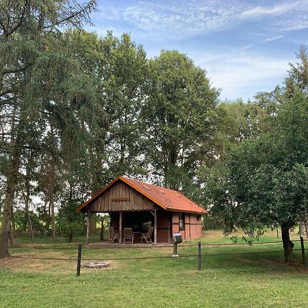 Ferienhaus Am Waldchen Villa Uelsen Exteriör bild