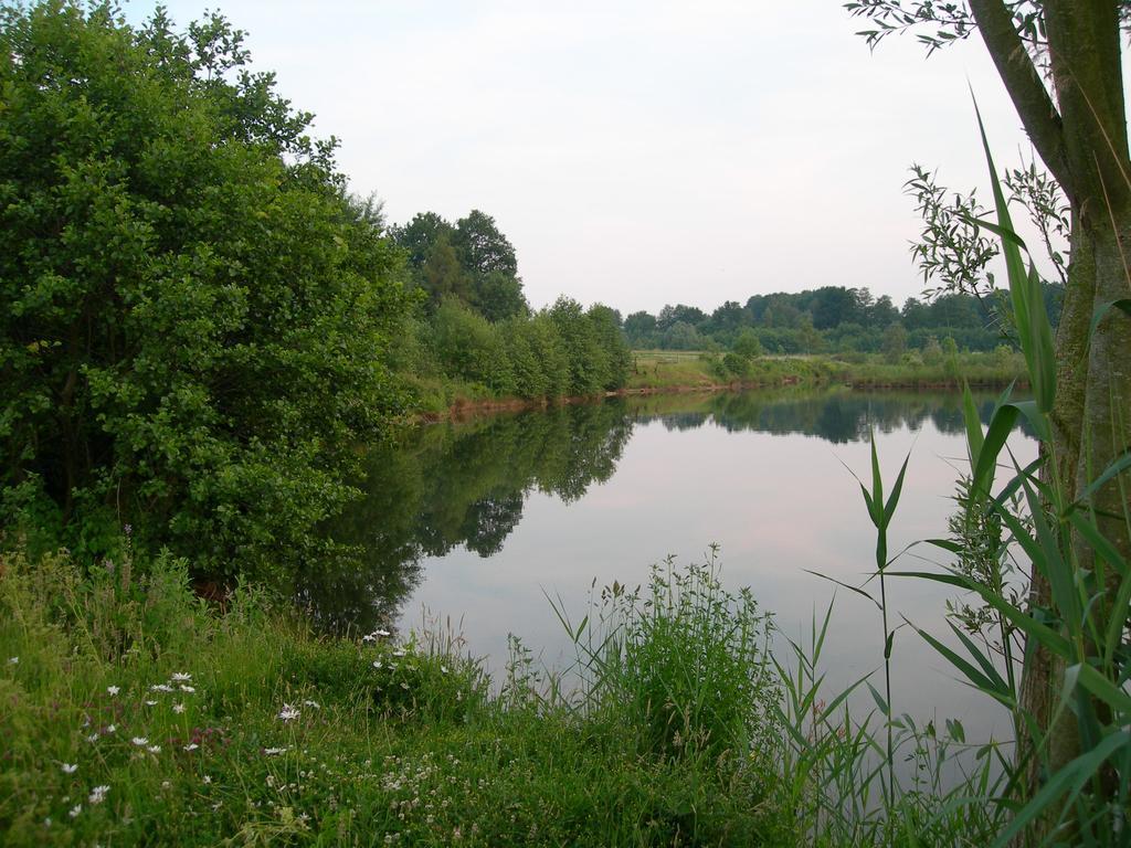 Ferienhaus Am Waldchen Villa Uelsen Exteriör bild